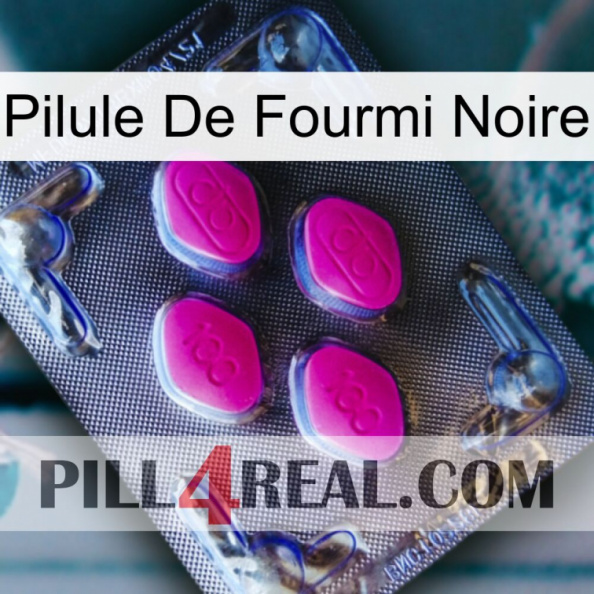 Black Ant Pill 02